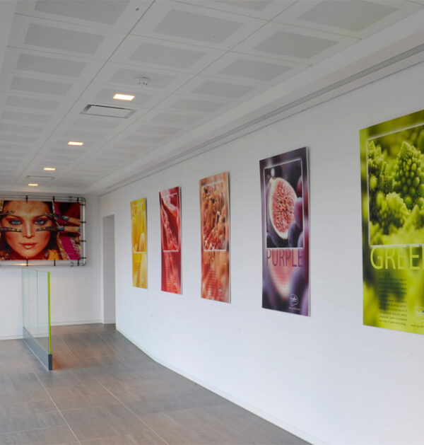 Vinyl Posters